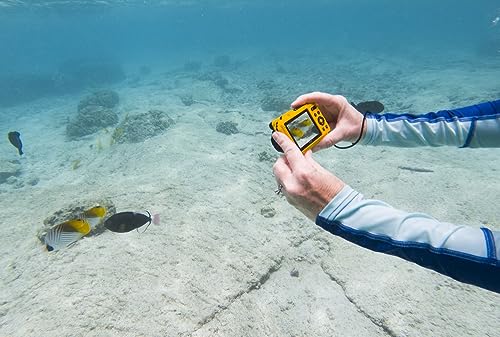 KODAK PIXPRO WPZ2 - Cámara Digital WiFi Resistente al Agua, a Prueba de Polvo, 16 MP, Zoom óptico 4X, 1080P, Full HD, Video, vlogging, LCD de 2.7 Pulgadas (Amarillo)